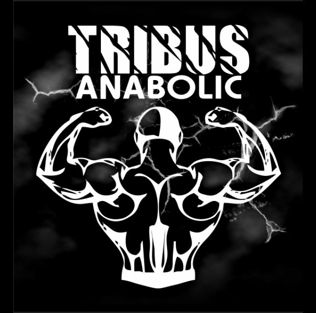 Anabolic Testo 1000mg (120 caps) - BioNutrir